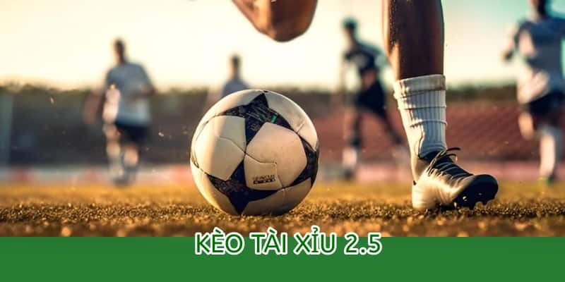 Cách đọc kèo Tài Xỉu 2.5 tại OK9 – Hướng dẫn chi tiết cho người mới 1 kèo tài xỉu 2.5